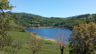 Camping La Romiguiere : Camping dans son ecrin de nature